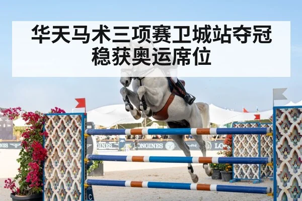 horse jumping competition